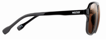 Venice Aviators